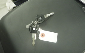 SUZUKI Vｽﾄﾛｰﾑ250SX 1995 EL11L