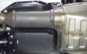 TRIUMPH TRIDENT 660 2025