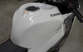 KAWASAKI NINJA ZX-6R A 2025 ZX636J