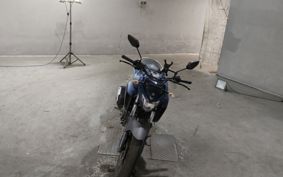 YAMAHA FZ25 RG42