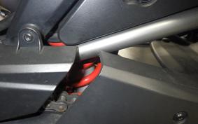 HARLEY ﾊﾟﾝ AMERICA1250S 2021