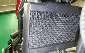 HONDA REBEL 250 S 2006 MC49