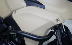 SUZUKI Vｽﾄﾛｰﾑ250