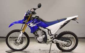 YAMAHA WR250R DG15J