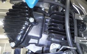 KAWASAKI Z125 PRO BR125H