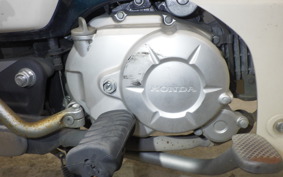 HONDA C50 SUPER CUB 2024 AA09