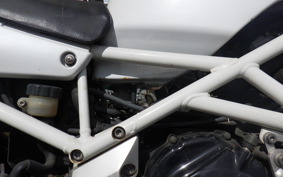 YAMAHA TRX850 1996 4NX
