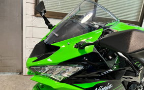KAWASAKI NINJA ZX-6R 2022 ZX636G