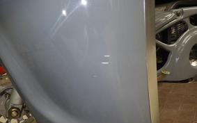 OTHER +UNREGISTERED MODEL by BDS TRIKE250 2014