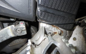 HONDA CRF250L 2009 MD38