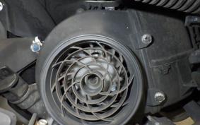 HONDA BENLY 110 2021 JA09