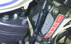 YAMAHA RZ 250 2019 4L3