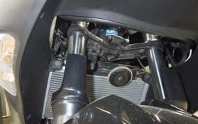 KAWASAKI NINJA 250 EX250L