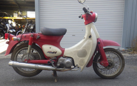 HONDA LITTLE CUB C50