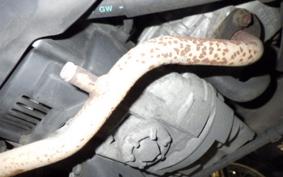 YAMAHA JOG Gen.5 SA36J