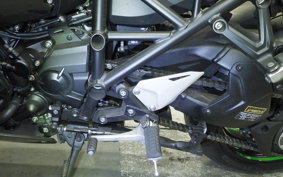 KAWASAKI NINJA H2 SX SE 2020 ZXT02A