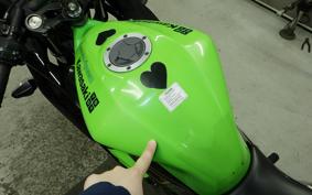 KAWASAKI NINJA 250 SL