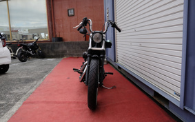HARLEY XL883R 2009 CS2