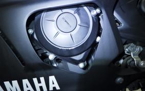 YAMAHA YZF R-3 2019 RH13J
