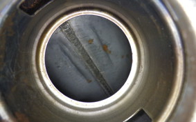 SUZUKI RMX250 S SJ13A