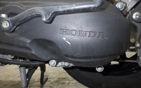 HONDA TACT Basket 1996 AF79