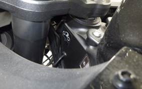 KAWASAKI NINJA 1000 A 2019 ZXT00W