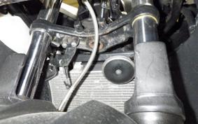 KAWASAKI NINJA 250 EX250L