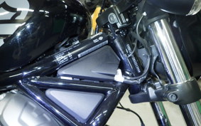 HARLEY RH975 2022