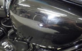 KAWASAKI W800 CAFE 2020 EJ800B