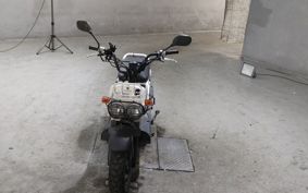 HONDA ZUMAR AF58