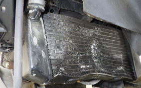 YAMAHA MAXAM 250 SG17J