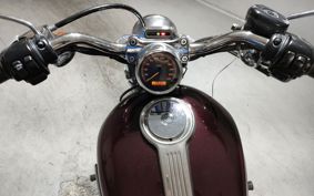 HARLEY XL1200C 2006 CGP