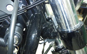 HARLEY XL1200XS 2019