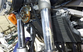 YAMAHA ZEAL 3YX