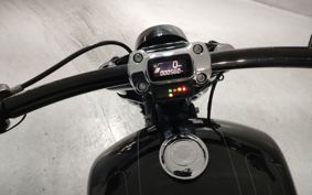 HARLEY FXBRS1870 2020 YHK