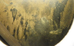 TRIUMPH STREET TRIPLE RS 2022