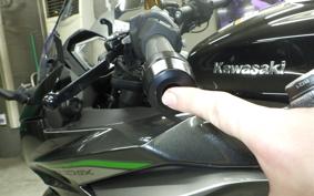 KAWASAKI NINJA 1000SX 2026 ZXT02K