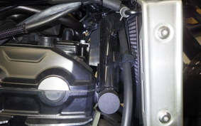 KAWASAKI Z900RS 2022 ZR900C