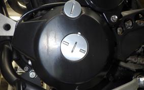 KAWASAKI KLX250D TRACKER X 2023 LX250V