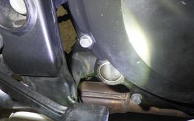 KAWASAKI NINJA 250R 2022 EX250K