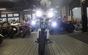 DUCATI  DUCATI  MULTI  STRADA 1200S 2016 AA02