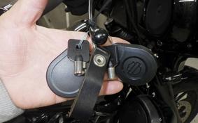 HARLEY FLHXS 1870 2019