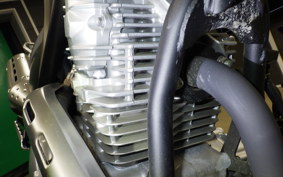 YAMAHA TRICKER Gen.3 2009 DG32J