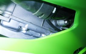 KAWASAKI ZX-4RRKRT 2024 ZX400P