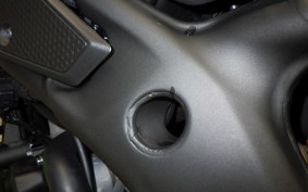 KAWASAKI ZX-4RR 2025 ZX400P