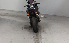 YAMAHA FZ1 FAZER 2009 RN16