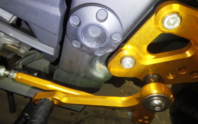 KAWASAKI NINJA 250 EX250L