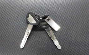 KAWASAKI KLX125 2024 LX125C