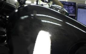 OTHER +HD. XL1200X 2014