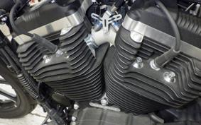 HARLEY XL883N 2021